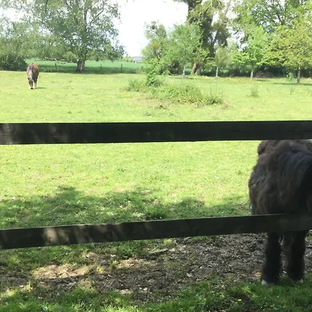 2 Pieces, Sdb, Terrasse, Piscine De Mai A Octobre * La Ferte-en-Ouche
