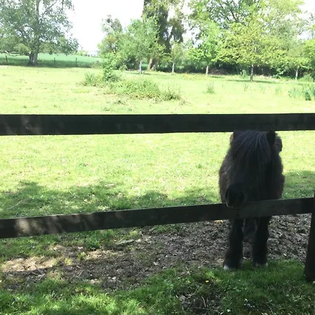 2 Pieces, Sdb, Terrasse, Piscine De Mai A Octobre Διαμέρισμα