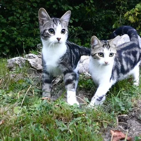 2 Pieces, Sdb, Terrasse, Piscine De Mai A Octobre Διαμέρισμα *