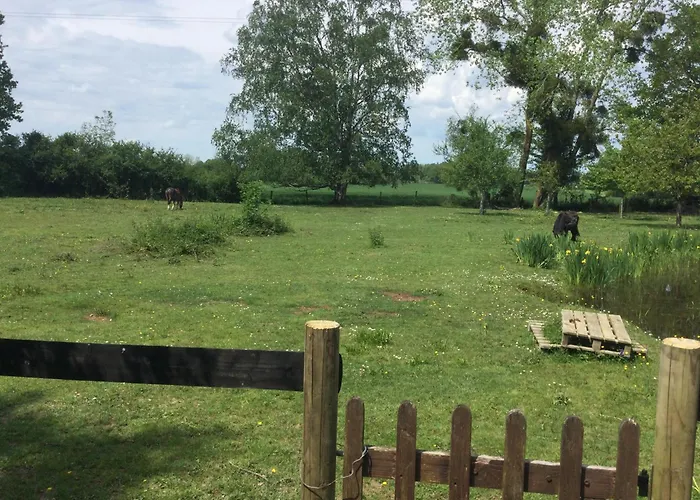 2 Pieces, Sdb, Terrasse, Piscine De Mai A Octobre La Ferte-en-Ouche