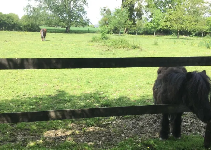 2 Pieces, Sdb, Terrasse, Piscine De Mai A Octobre * La Ferte-en-Ouche