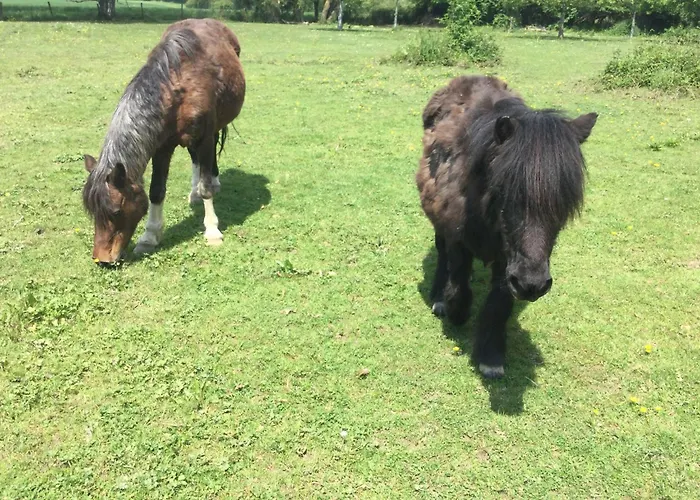 2 Pieces, Sdb, Terrasse, Piscine De Mai A Octobre