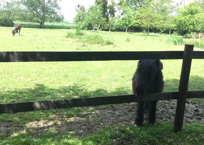 2 Pieces, Sdb, Terrasse, Piscine De Mai A Octobre Apartment
