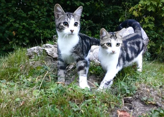 2 Pieces, Sdb, Terrasse, Piscine De Mai A Octobre Apartment *